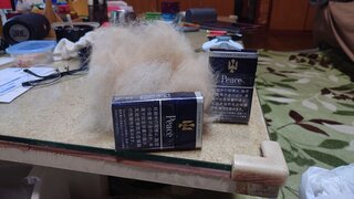 20250807_101955_R.JPG