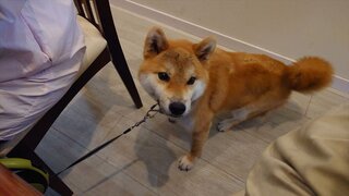 20250809_130823_R.JPG