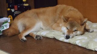 20250813_211511_R.JPG