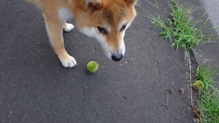20250815_061529_exported_1668_R.jpg