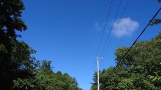 20250815_085157_R.JPG