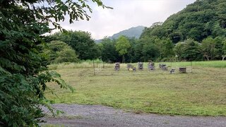 20250816_070555_R.JPG