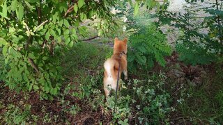 20250817_164627_R.JPG