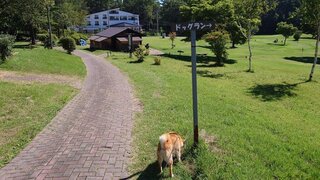 20250819_090925_R.JPG