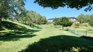 20250819_091238_R.JPG
