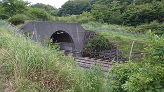 20250821_111613_R.JPG