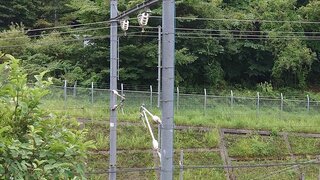 20250821_111640_R.JPG