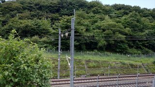 20250821_111645_R.JPG