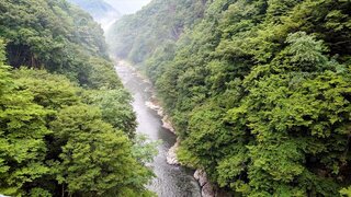 20250824_062049-EDIT_R.jpg