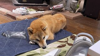 IMG_7539_R.JPG