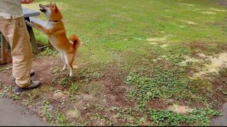 Screenshot_20250817-172827~2_R.jpg