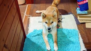 20250827_073447_R.JPG