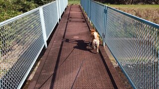20250830_083753_R.JPG