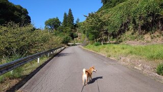 20250830_083853_R.JPG