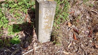 20250830_084021_R.JPG