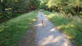 20250901_163225_R.JPG