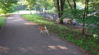 20250901_163254_R.JPG
