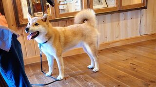 20250906_121355_R.JPG