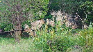 20250908_165931_R.JPG