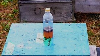 20250910_064413_R.JPG