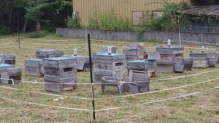 20250910_064432_R.JPG