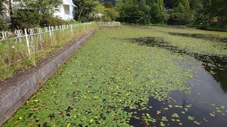 20250915_143741_R.JPG