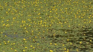 20250915_143755_R.JPG