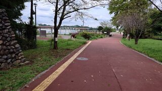 20250919_135729_R.JPG