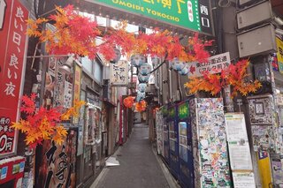 20250920_111351_R.JPG