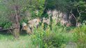 20250908_165931_R.JPG