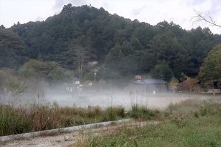 20250928_054145_R.JPG