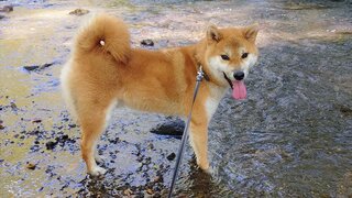 20251002_120452~2_R.JPG
