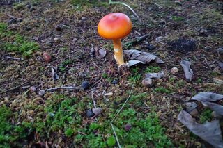 20251010_061211_R.JPG