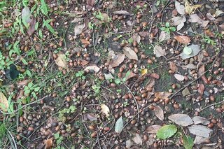 20251015_103346_R.JPG