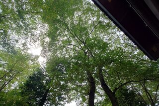 20251015_103358_R.JPG