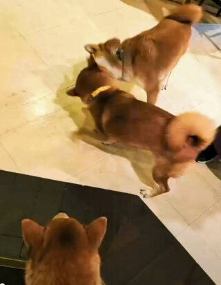 スクリーンショット 2025-11-10 100231.jpg