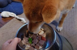 スクリーンショット 2026-01-12 153516_R.jpg