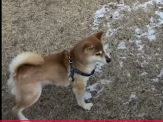 スクリーンショット 2026-02-04 111357_R.jpg