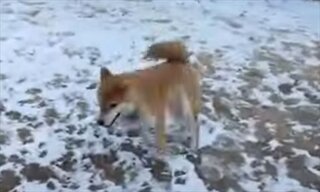 スクリーンショット 2026-02-04 111418_R.jpg