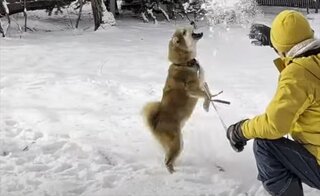 スクリーンショット 2026-02-09 083616_R.jpg