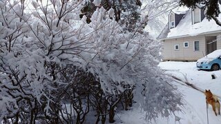 20260304_062707 (1)~2_R.JPG