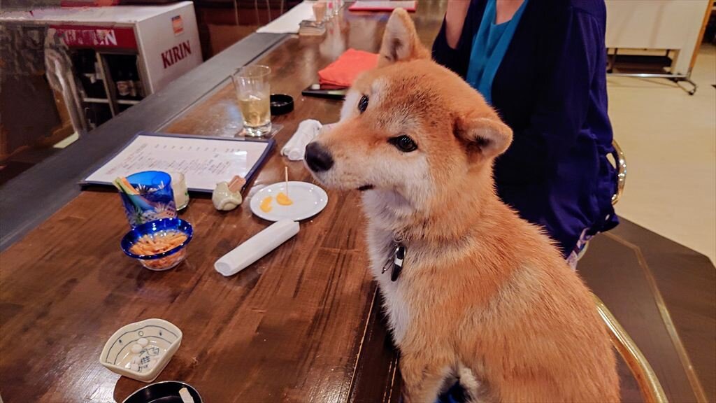 https://hayashida.jp/o/images2019-/20250418_213156~2_R.JPG