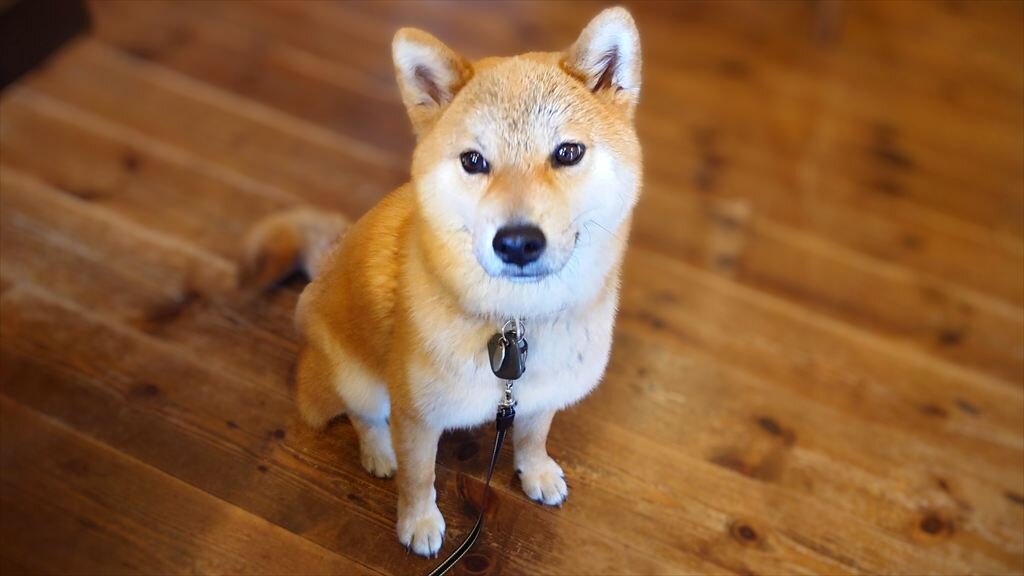 https://hayashida.jp/o/images2019-/20250713_121229~2_R.JPG