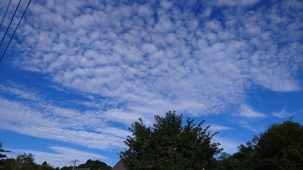 https://hayashida.jp/o/images2019-/20250720_063347_R.JPG