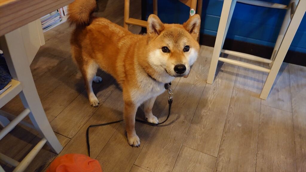 https://hayashida.jp/o/images2019-/20250726_141610_R.JPG