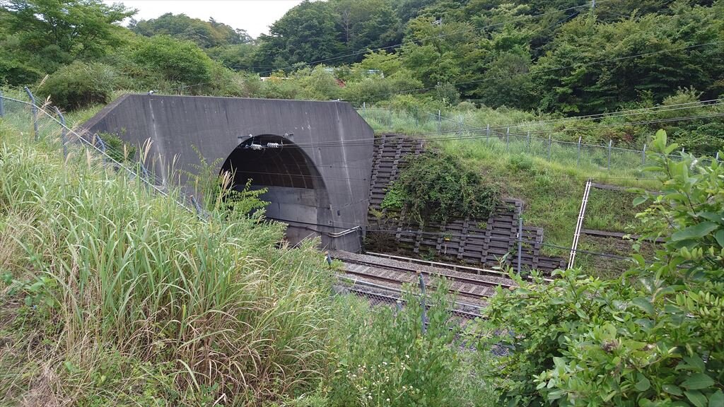 https://hayashida.jp/o/images2019-/20250821_111613_R.JPG