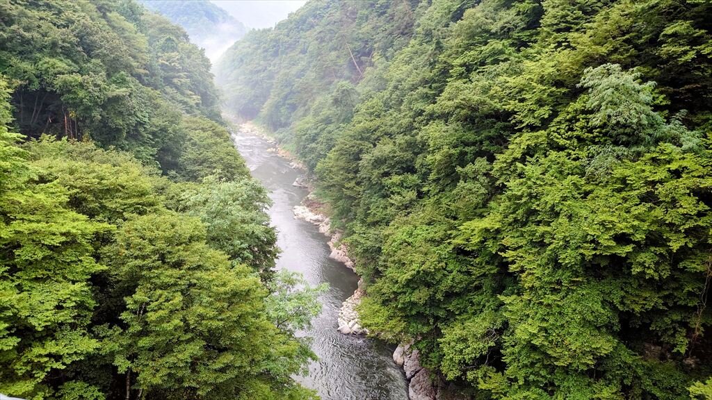 https://hayashida.jp/o/images2019-/20250824_062049-EDIT_R.jpg