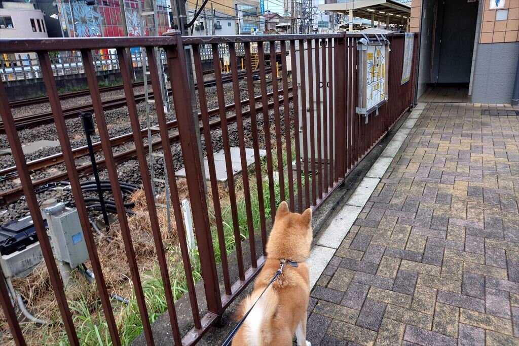 https://hayashida.jp/o/images2019-/20250921_064332_R.JPG