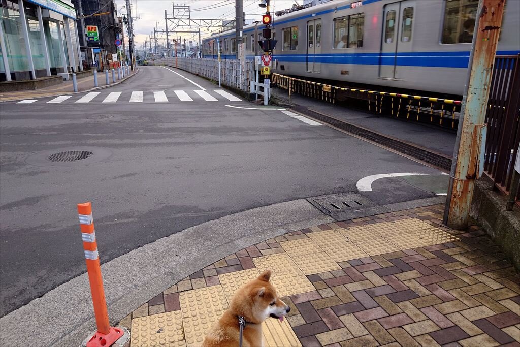 https://hayashida.jp/o/images2019-/20250921_064510~2_R.JPG