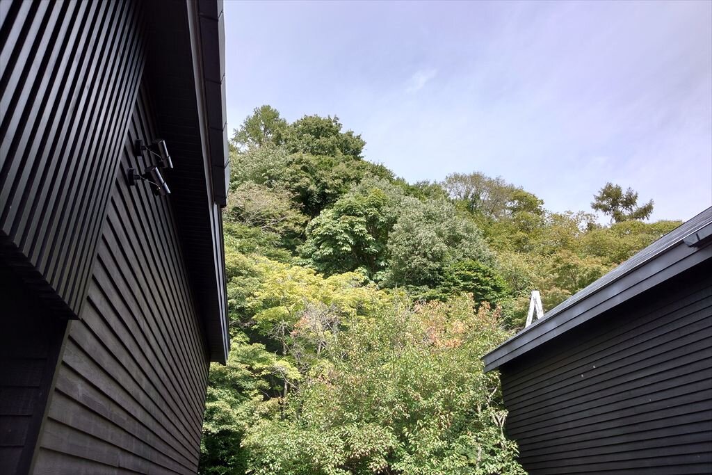 https://hayashida.jp/o/images2019-/20251003_103925_R.JPG